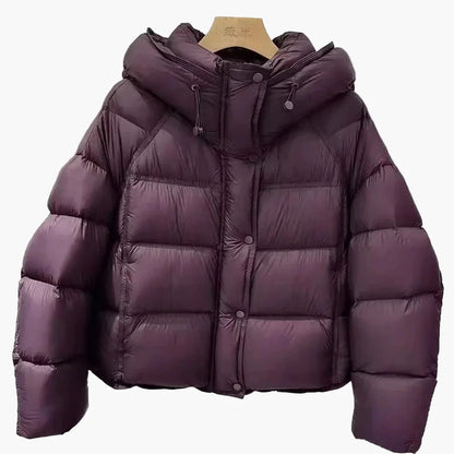 Herr Dunjacka Vinter Puffer Kort Varm och Trendig