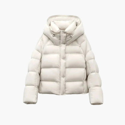Herr Dunjacka Vinter Puffer Kort Varm och Trendig